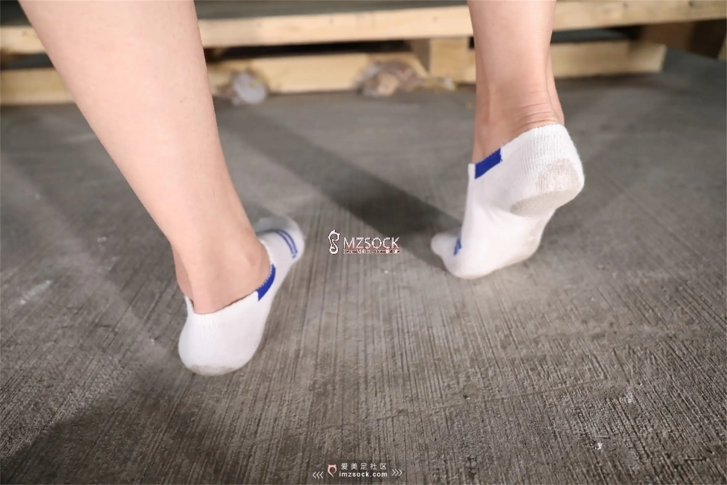 [Mzsock] Love Beauty Foot NO.066 Ding#[74P]-31