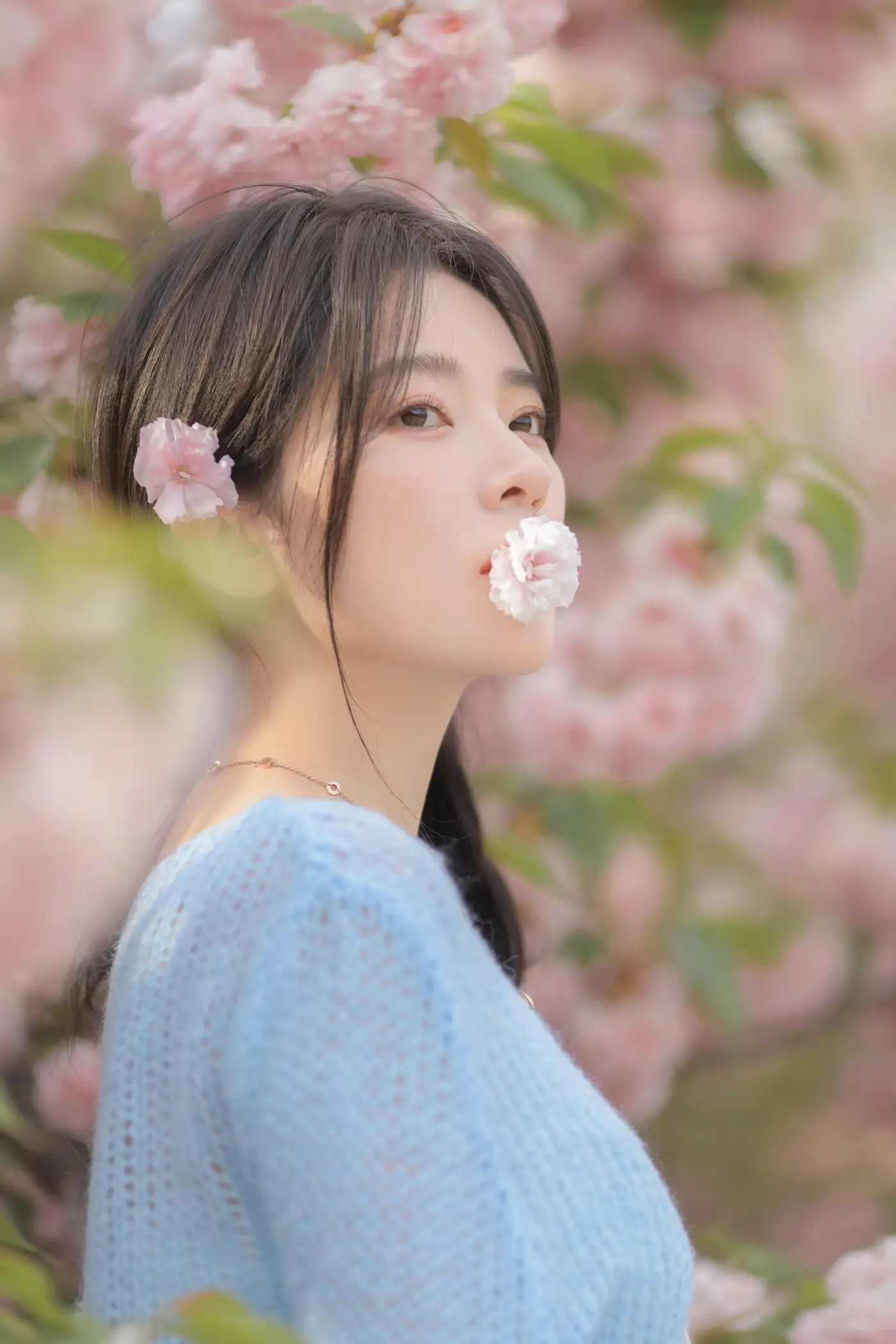 [YITUYU] 2022.06.22 Vol.1252 – Pink Blue Evening Cherry Blossoms Yang Yimo#[29P]-1