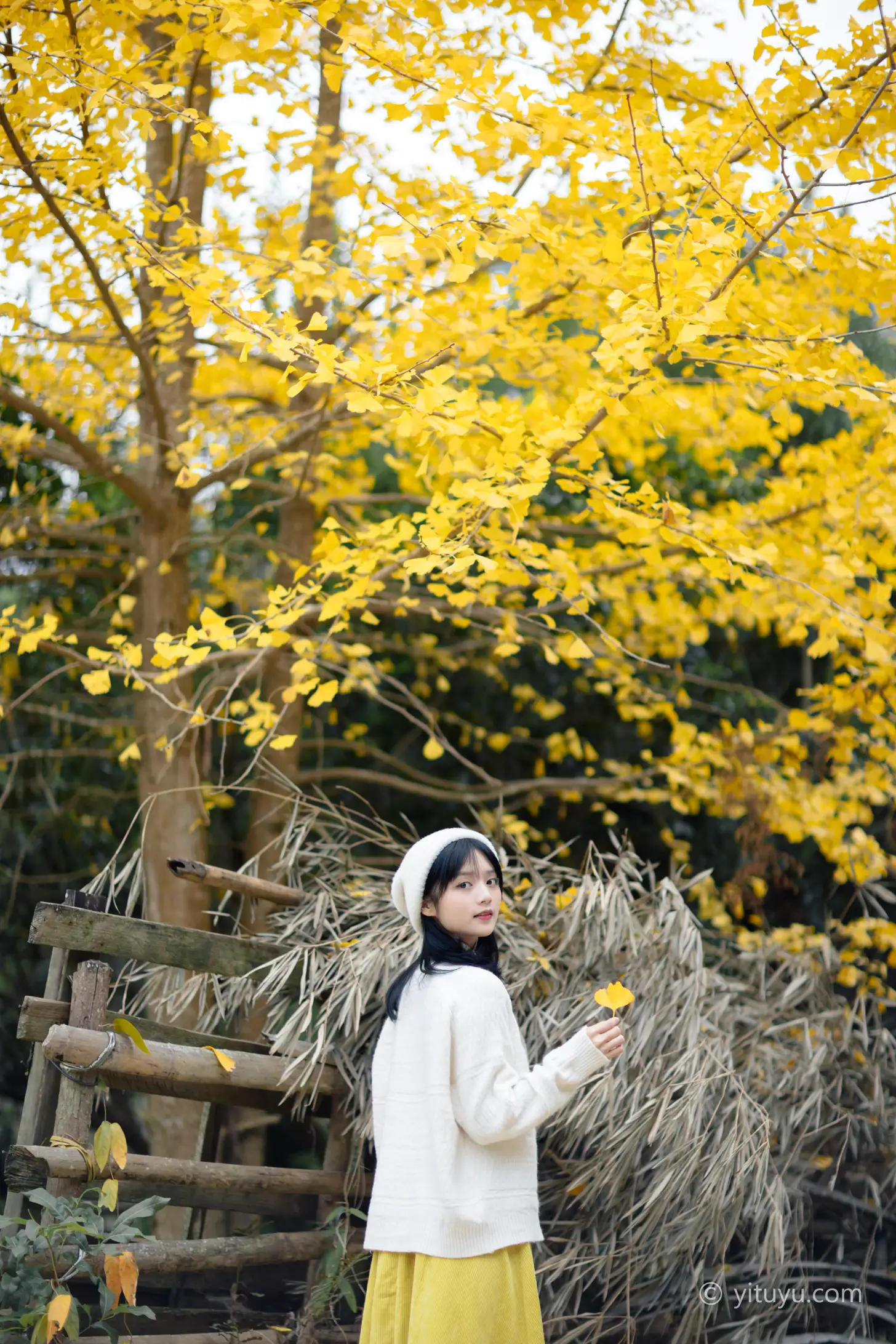 [YITUYU] 2021.08.14 Vol.131 – Ginkgo Love Yuwen#[39P]-1