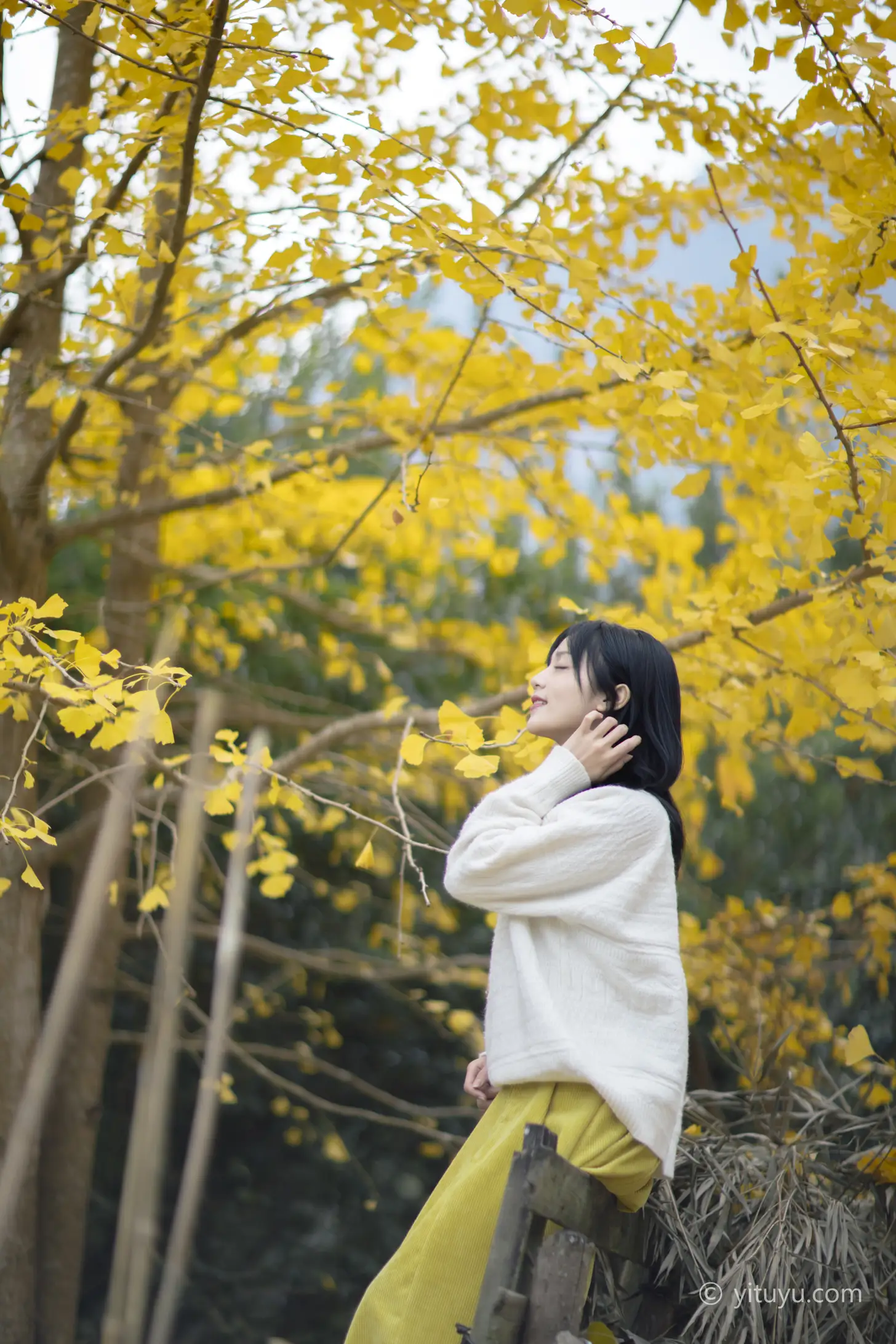 [YITUYU] 2021.08.14 Vol.131 – Ginkgo Love Yuwen#[39P]-2