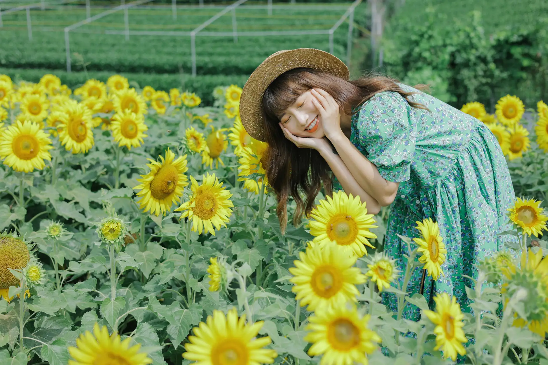 [YITUYU] 2022.07.12 Vol.1458 – Sunflower Summer Fatty Blue-#[33P]-10