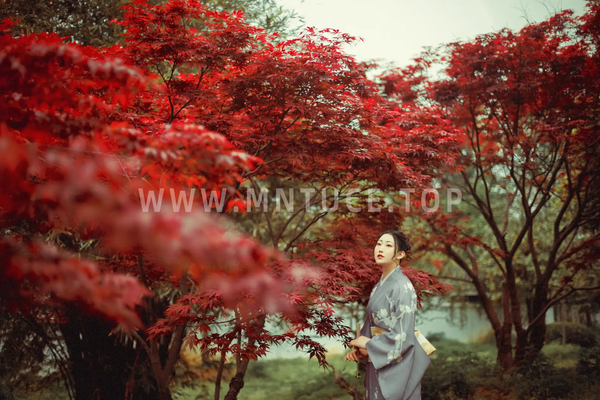 [YITUYU] 2021.09.02 Vol.219 – Deep in the Red Leaves No worries#[29P]-8