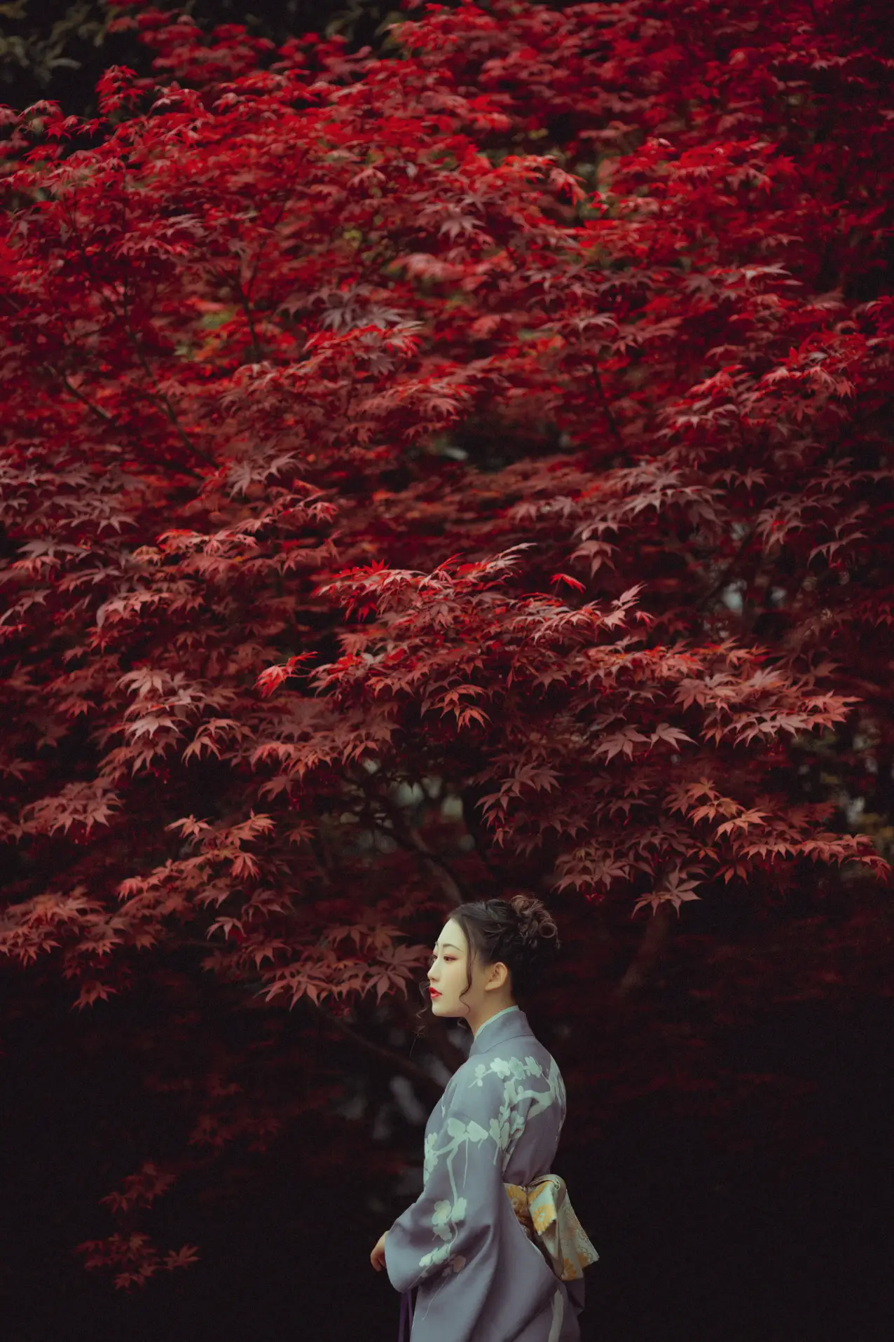 [YITUYU] 2021.09.02 Vol.219 – Deep in the Red Leaves No worries#[29P]-7