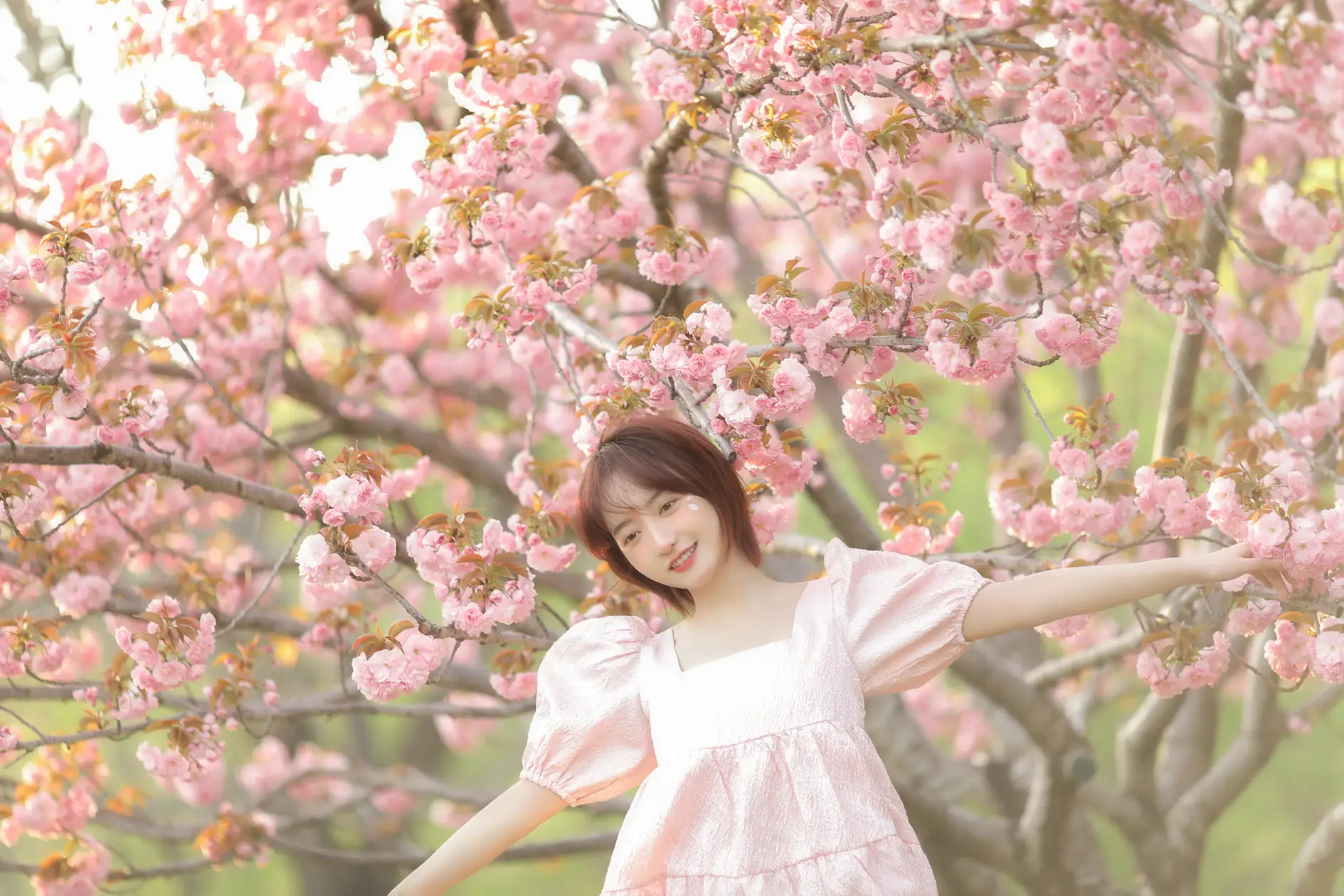 [YITUYU] 2022.07.08 Vol.1421 – Sakura Fall Cheng Fan#[21P]-3