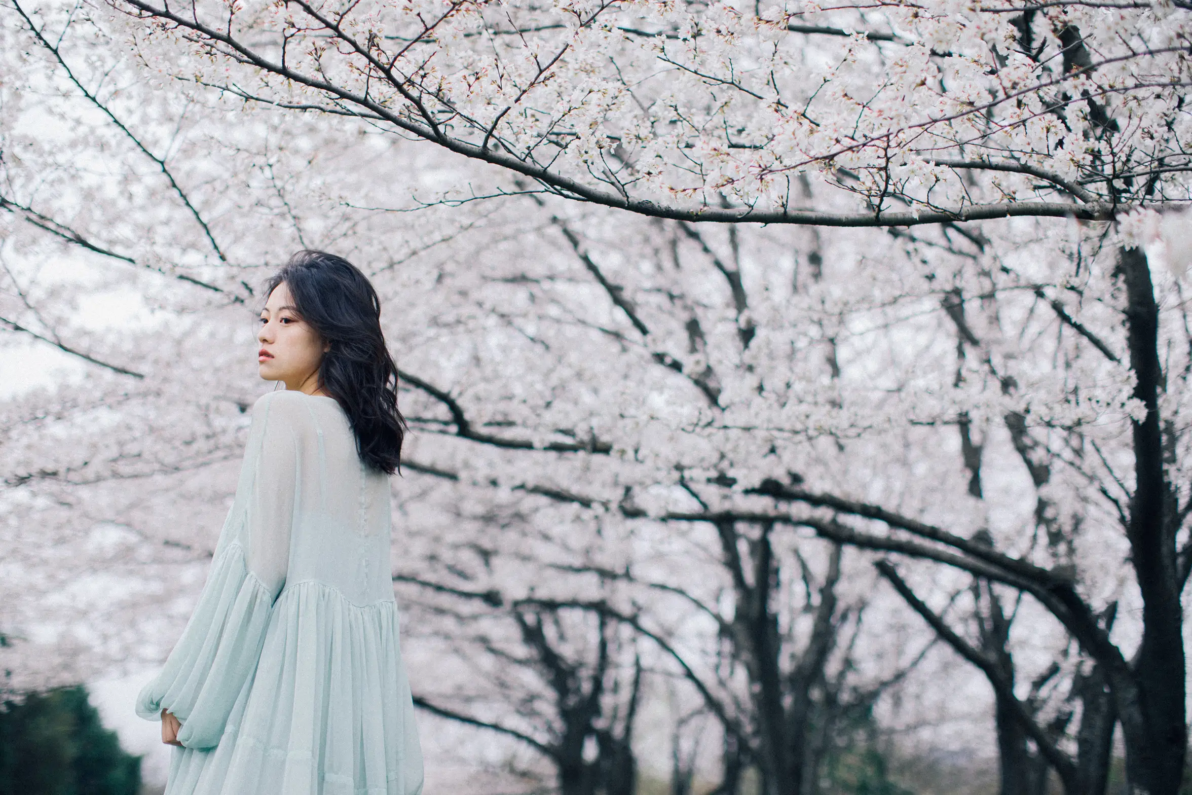 [YITUYU] 2022.05.27 Vol.1002 – Colorful Falling Cherry Blossoms September#[28P]-2