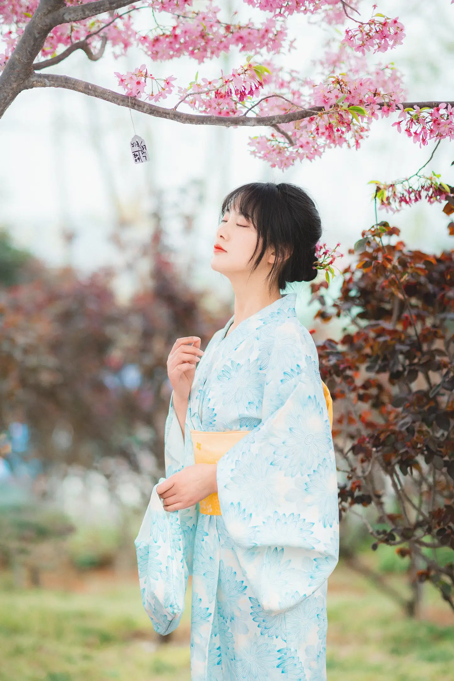 [YITUYU] 2022.11.19 Vol.2478 – Under the Sakura Tree Meimei who loves to take pictures#[23P]-16