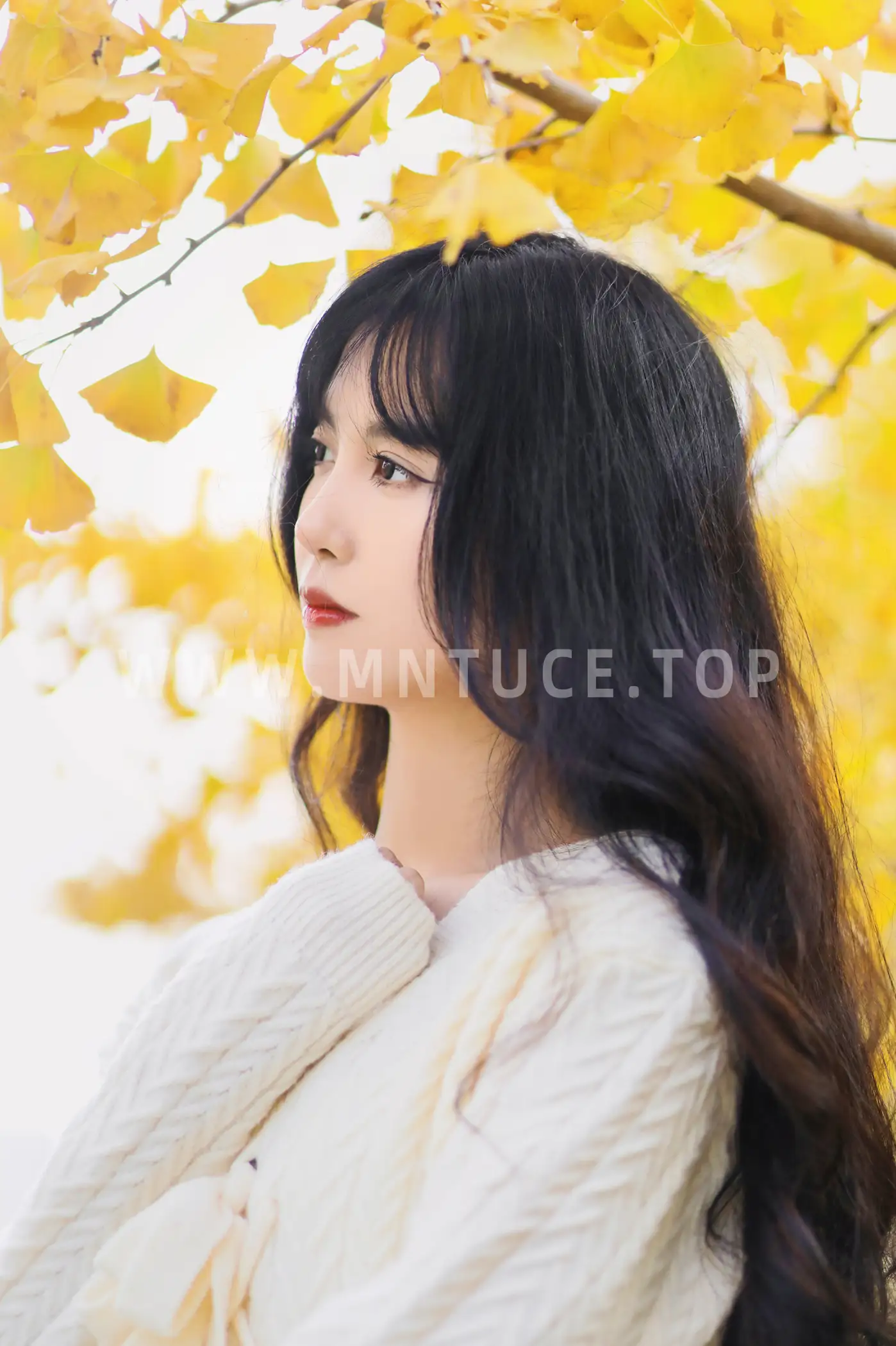 [YITUYU] 2022.11.19 vol.2472 -Huaiqiu Light cherry blossom#[24P]-4