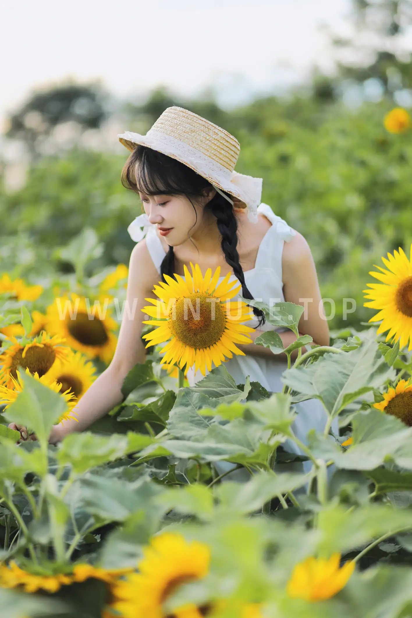 [YITUYU] 2022.11.25 Vol.2528 sunflower#[36P]-23